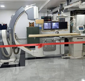 Unicorn Electricals: Photos